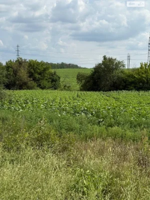 Продаж Ділянка під житлову забудову Краснопілля