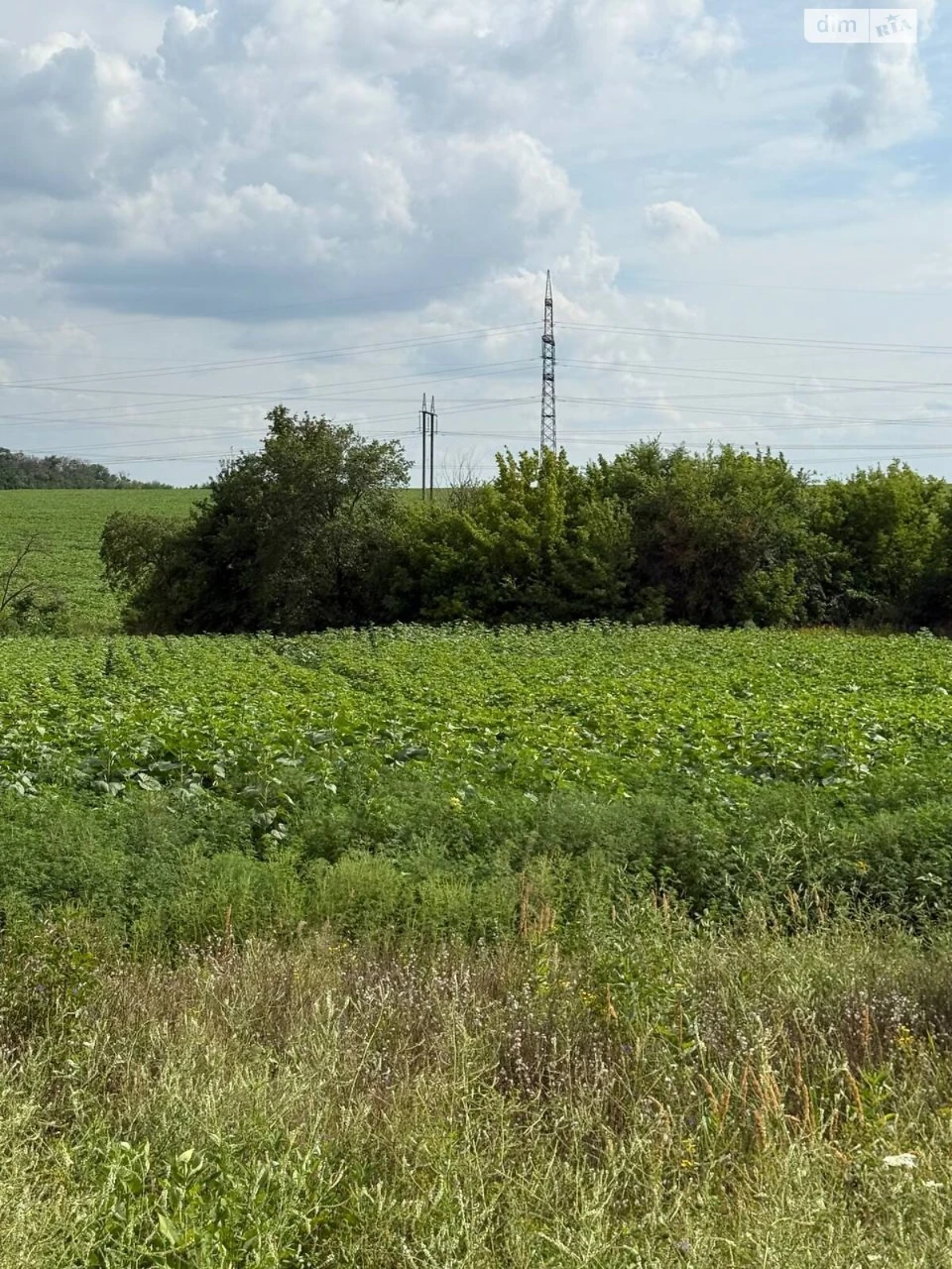 Продаж Ділянка під житлову забудову
