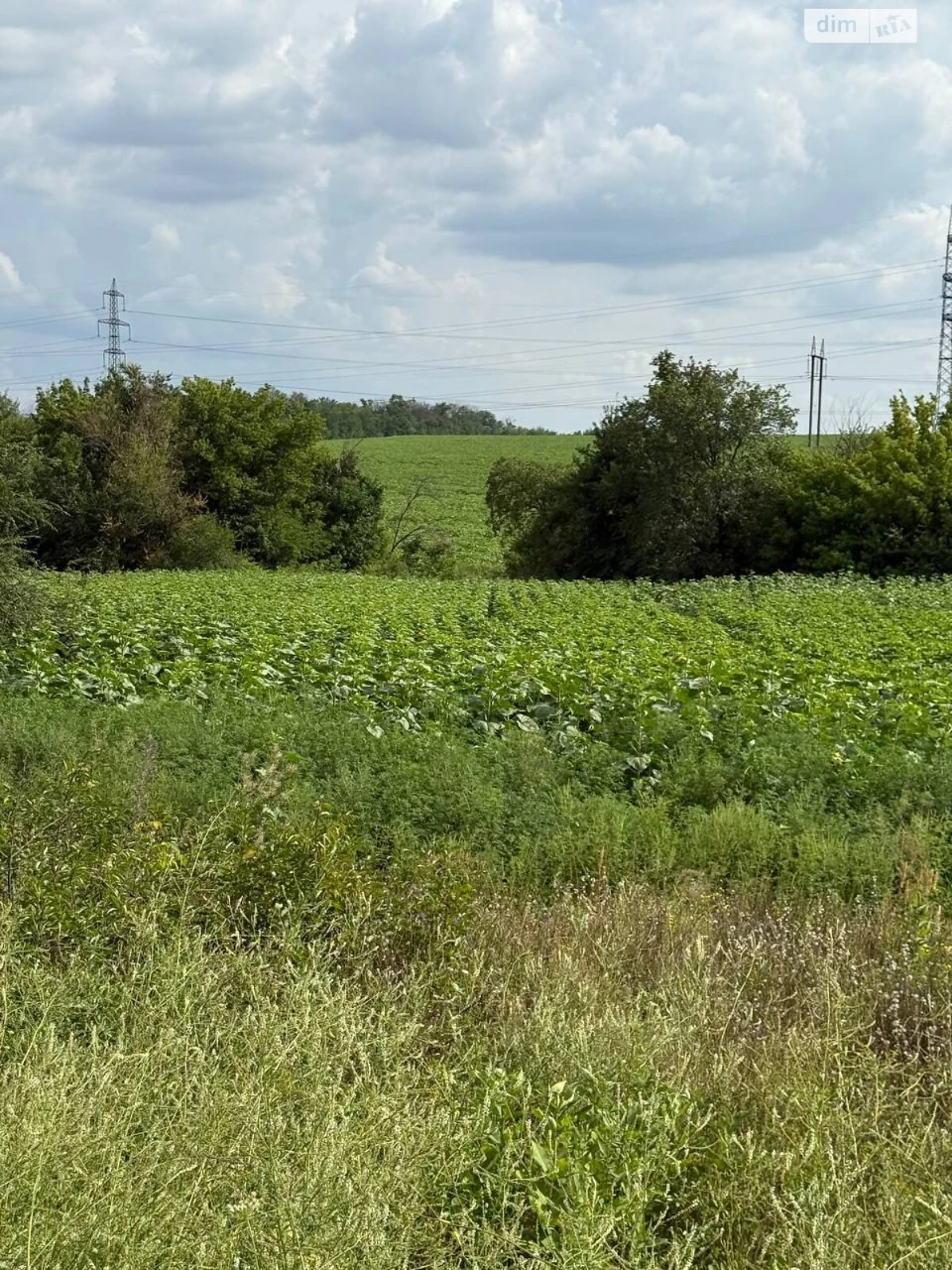 Продаж Ділянка під житлову забудову