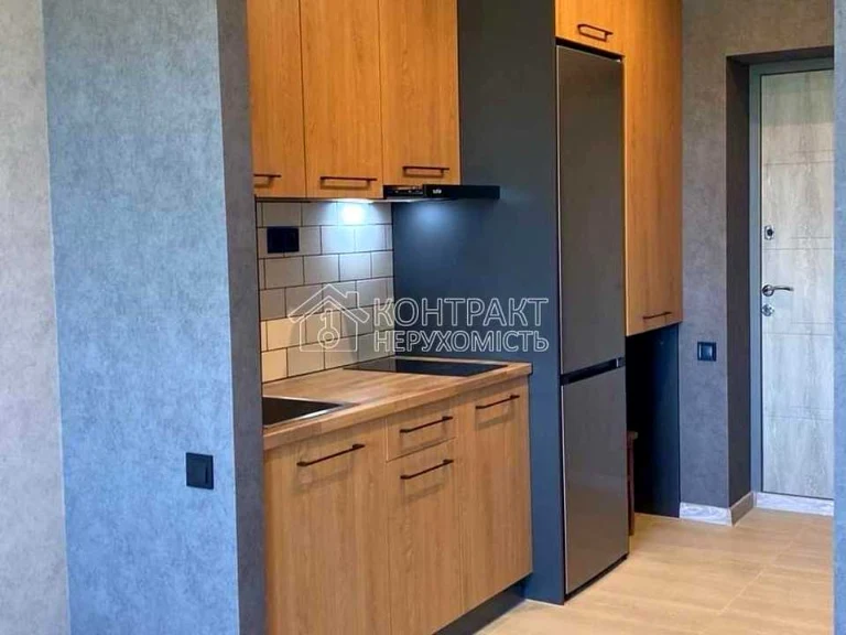 Apartment. Kharkiv, Shevchenkivskyi lane.