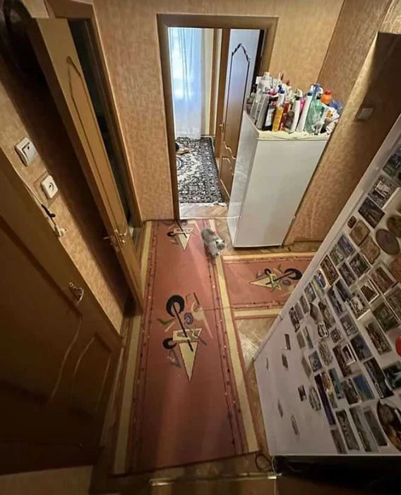 3х кімнатна в Центрі, поверх 5/9, площа 68м2, Нове плануванн