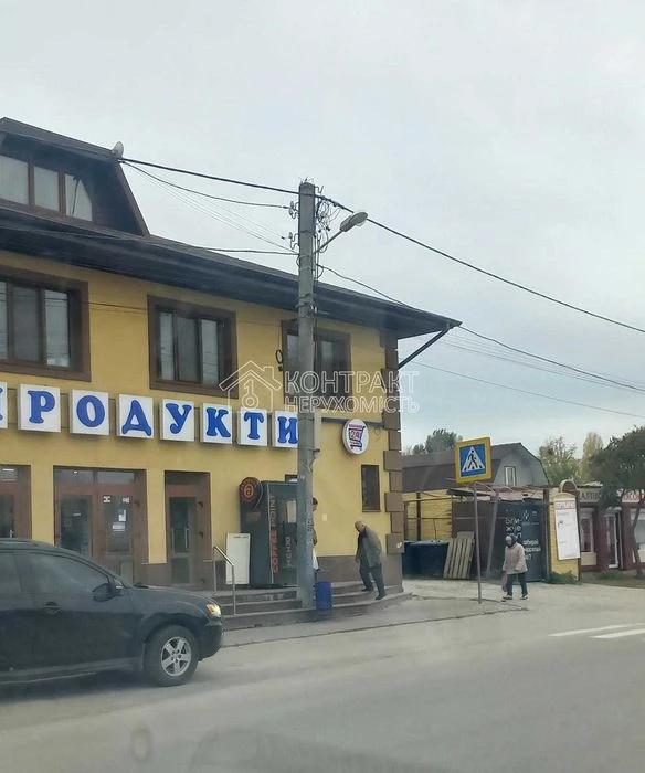 Продається будинок Велика Данилівка єВідновлення