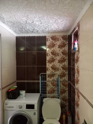 Продам будинок  Липовий гай