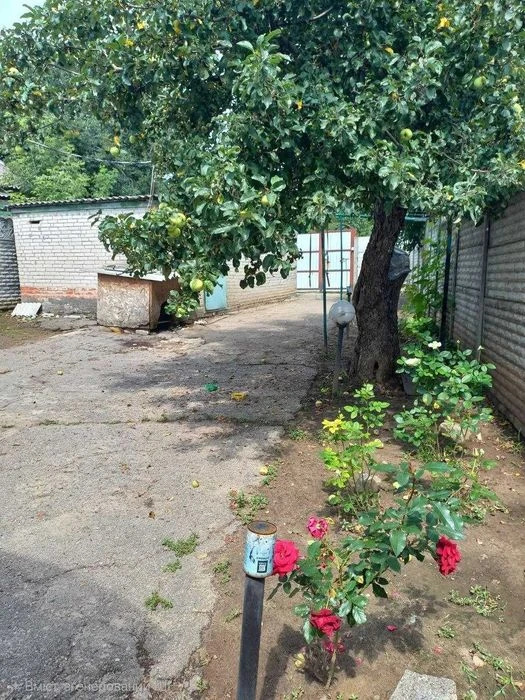 Продам будинок  Липовий гай