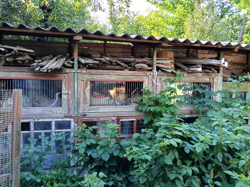 Будинок. Харків, Археологів вул. (Крилова)