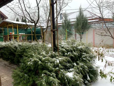 Будинок. Харків, Немишлянська вул.