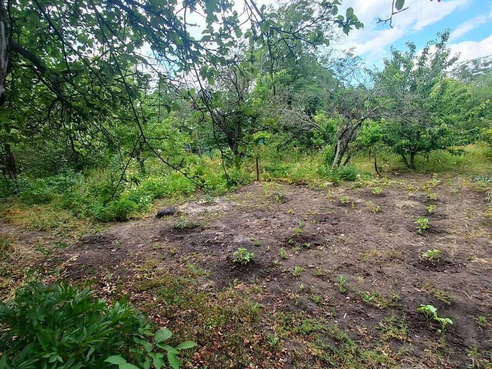 Будинок. Харків, Проездная