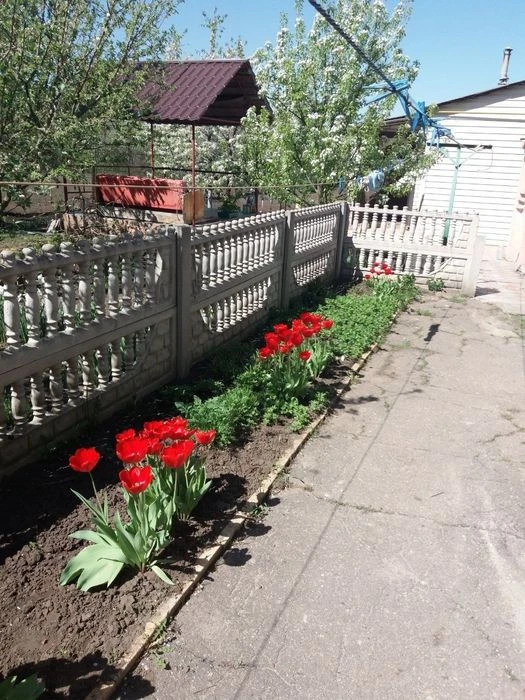 Продам дом в Большой Рогани, кирпич 63м2, с удобствами. Торг