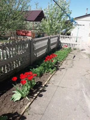 Продам дом в Большой Рогани, кирпич 63м2, с удобствами. Торг