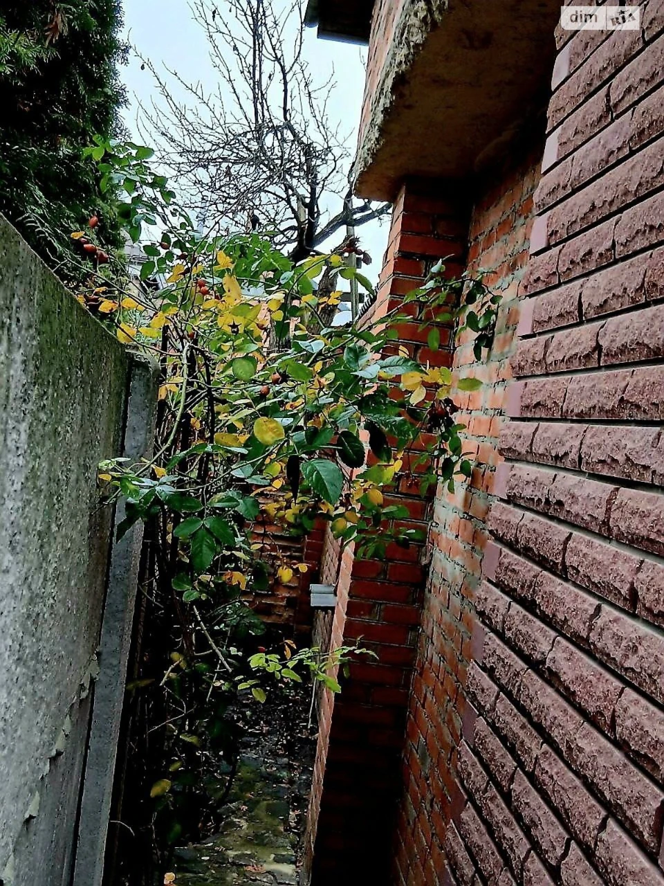 Продаж Частина будинку Шатилівка
