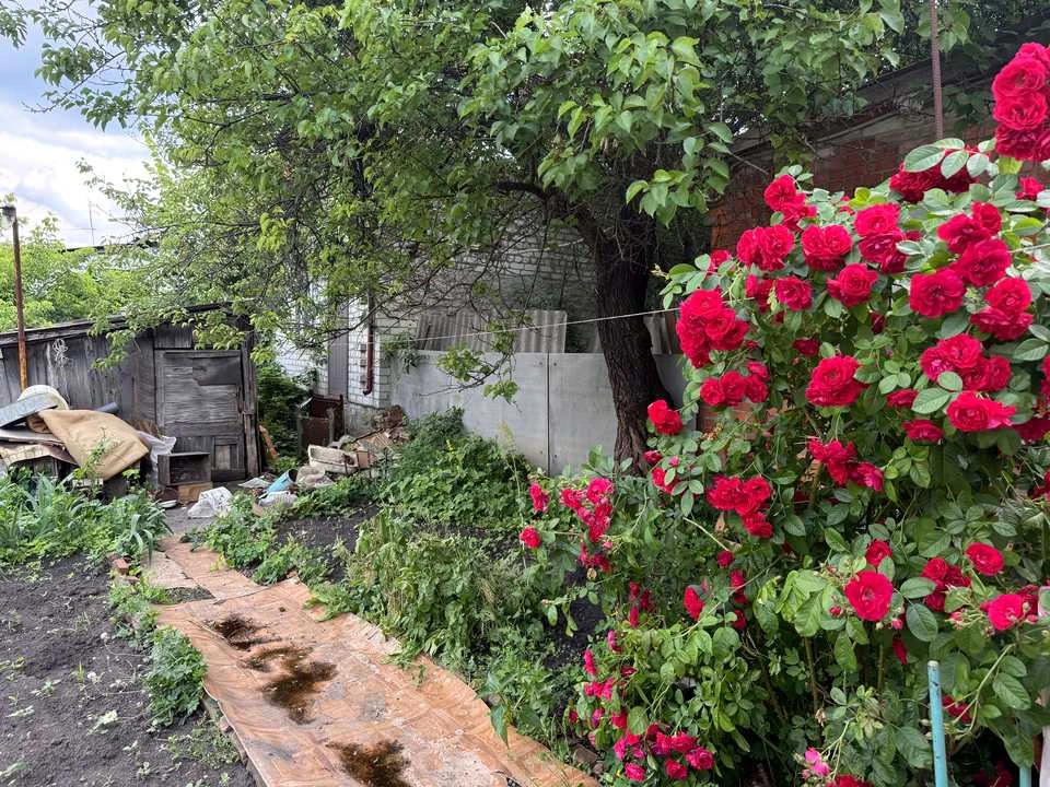 Будинок. Харків, Паровозна вул.