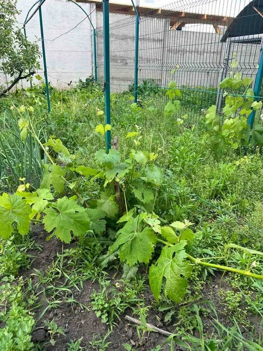 Продам дом поселок Ново-западный. Эксклюзив!