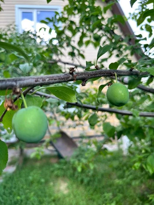 Продам дом поселок Ново-западный. Эксклюзив!