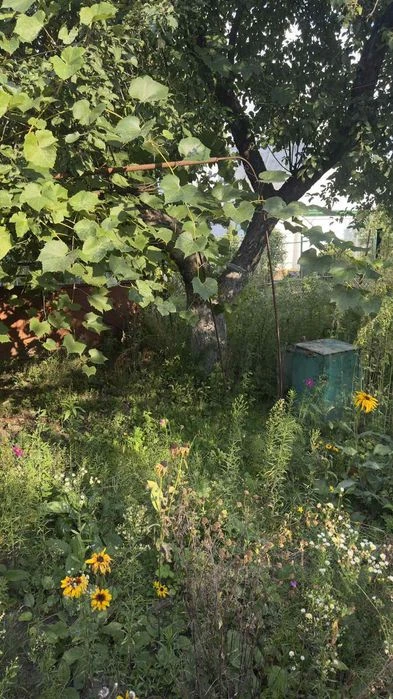 Продам компактну дачу р-н провулок  Кизиловий