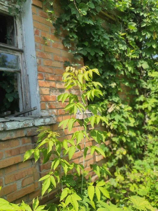 Продаж будинку 10 хвилин Холодна Гора Залютино