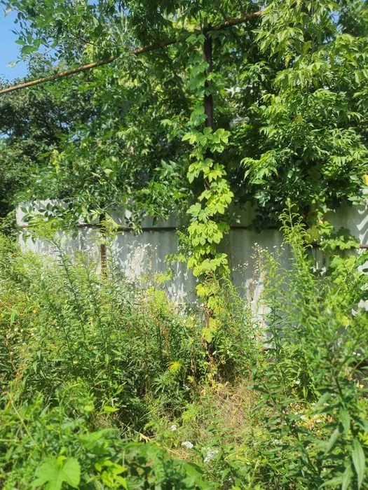 Продаж будинку 10 хвилин Холодна Гора Залютино