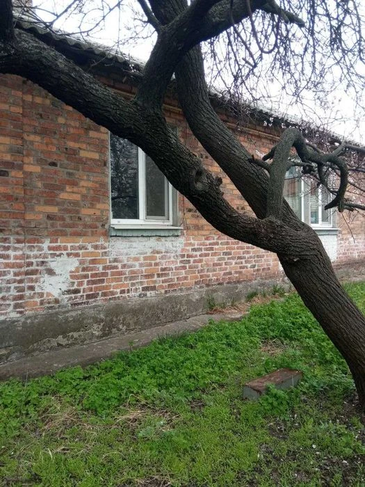 Продам отдельно стоящий дом в Харькове
