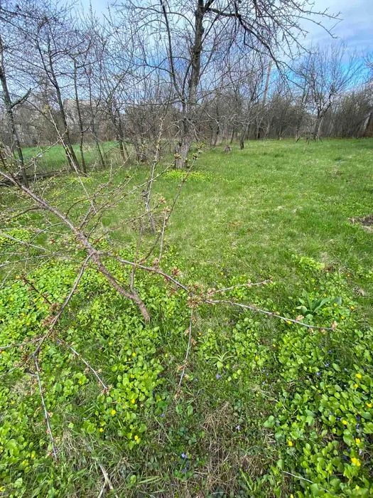 Продам дачу в мальовничому місці, 6 соток, рівна ділянка, са
