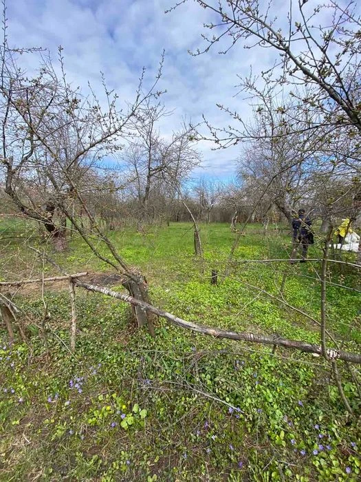 Продам дачу в мальовничому місці, 6 соток, рівна ділянка, са