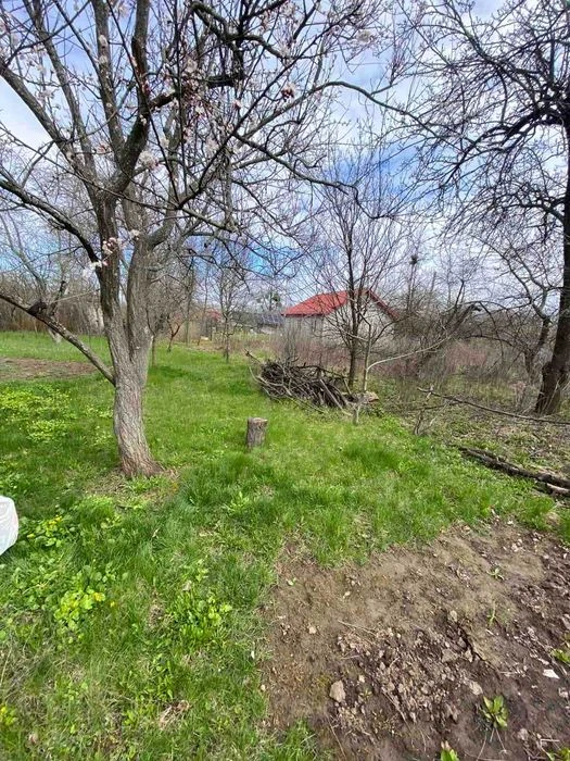 Продам дачу в мальовничому місці, 6 соток, рівна ділянка, са