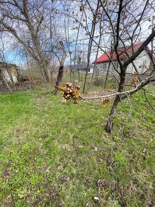 Продам дачу в мальовничому місці, 6 соток, рівна ділянка, са