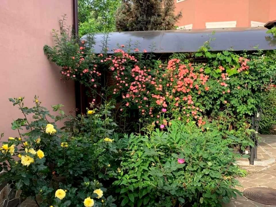 Будинок. Харків, Дмитра Антоненка вул. (Мінська)
