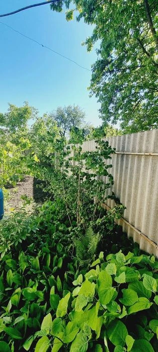 D1L Продам отличный дом 140 м2 для большой семьи, ул. Дарьял