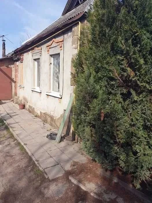 Продам будинок Велика Данилівка (дом Большая Даниловка, с уд
