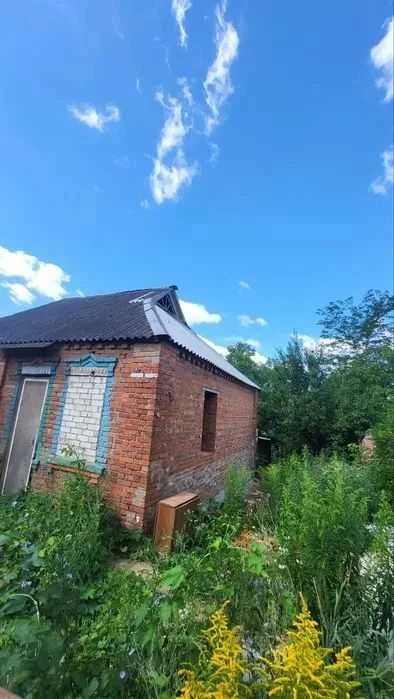 Продам будинок Велика Данилівка (дом Большая Даниловка, с уд
