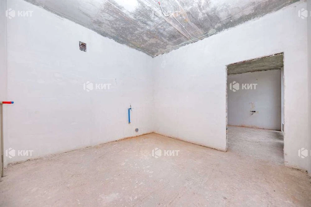 Дуплекс 206 м2, Павлово Поле (м. 23 Августа, пр. Науки 65) 1