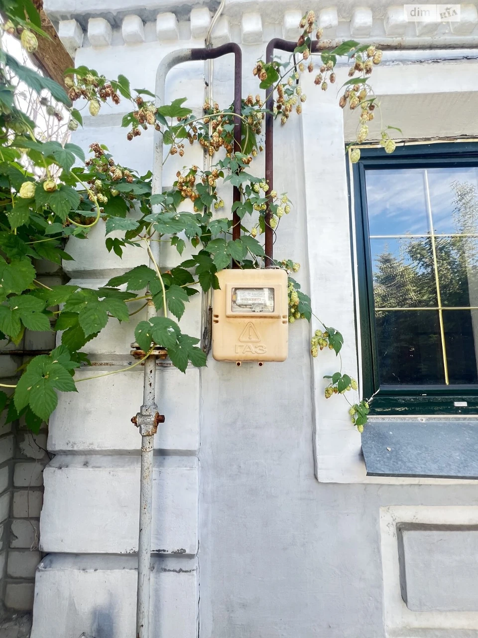 Продаж Дім Павлівка