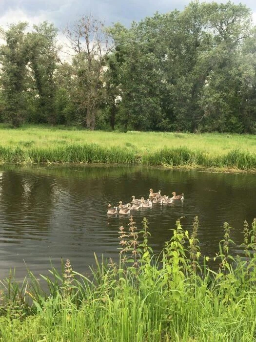 Продажа.Недвижимость в городе !
