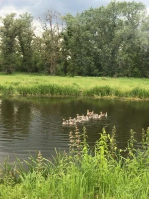 Продажа.Недвижимость в городе !