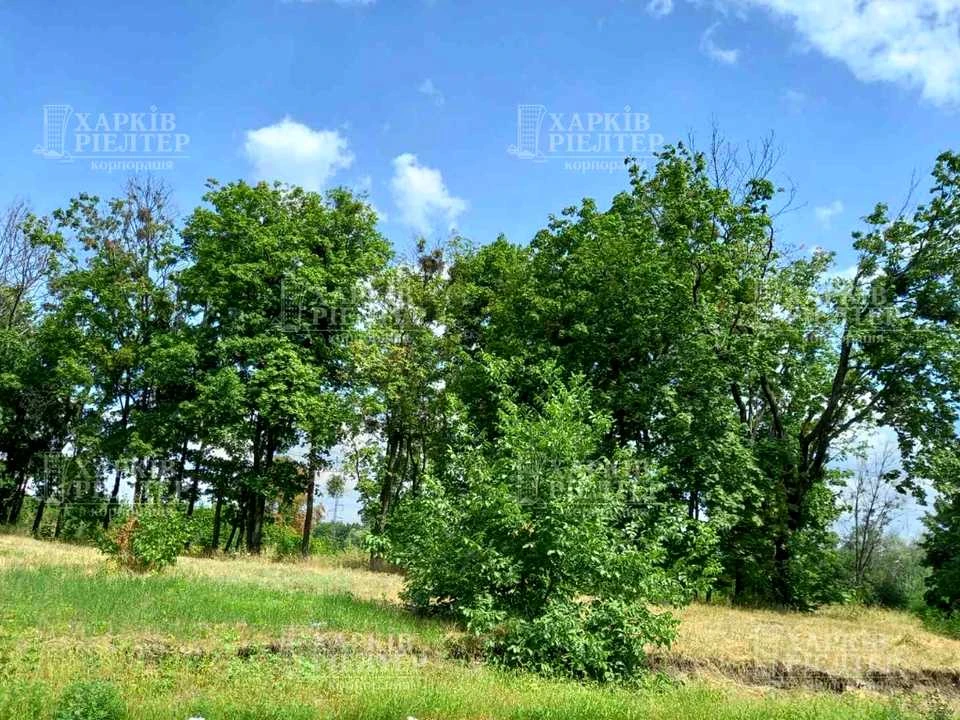 Ділянка. Харків, Каденюка вул. (Танкопія)