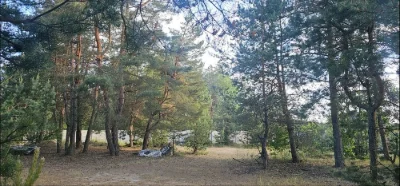 В городе, премиум участок в сосновом лесу