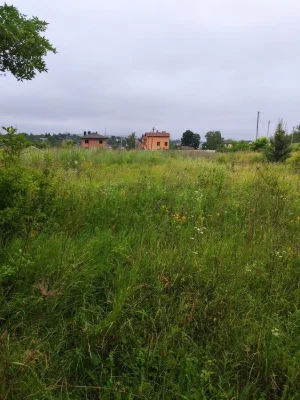 Участок Холодная гора Залютино