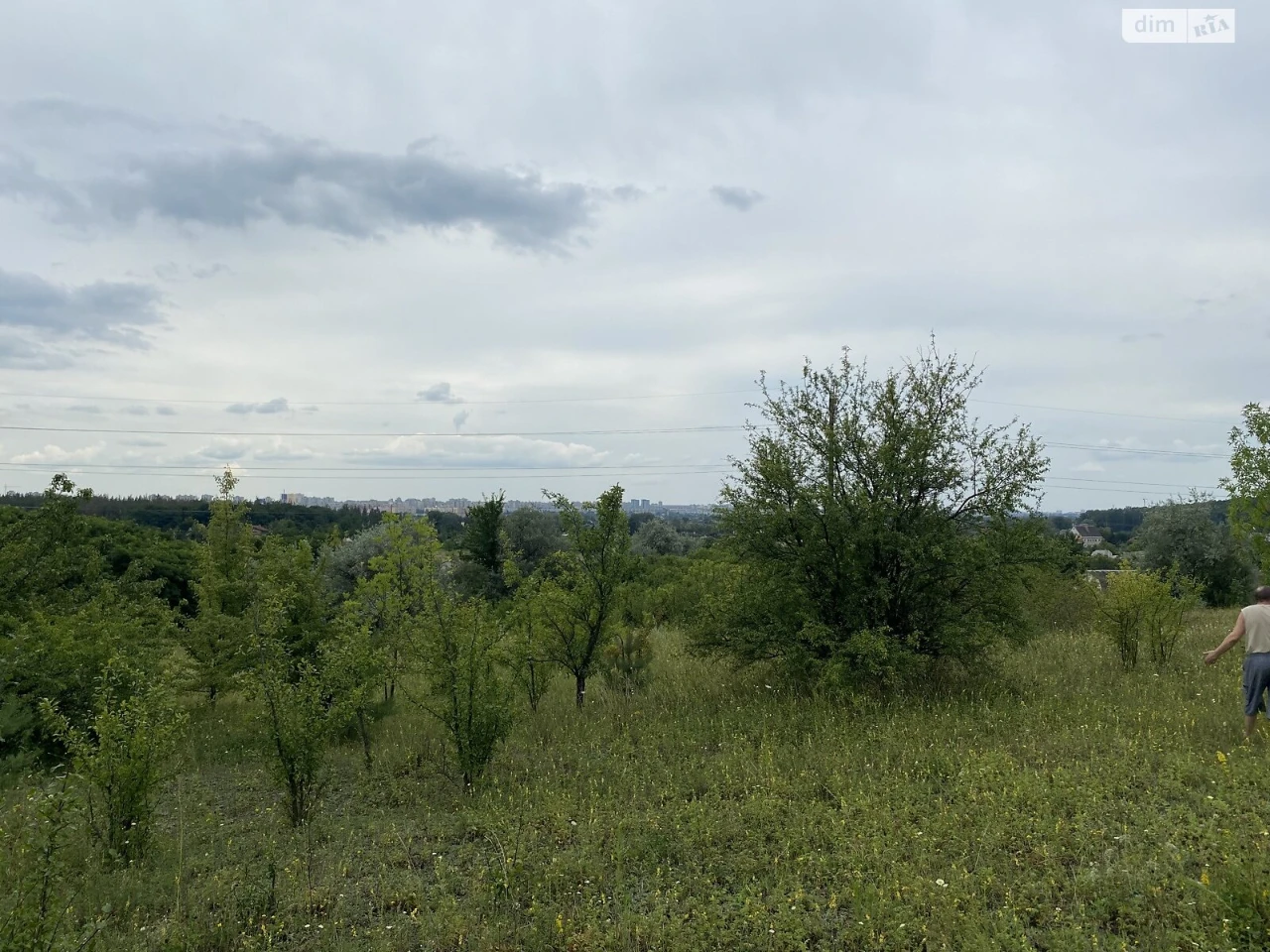 Продаж Земля сільськогосподарського призначення Велика Данил