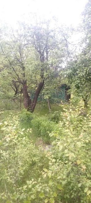 Продам два дачных участка Журавлевские склоны