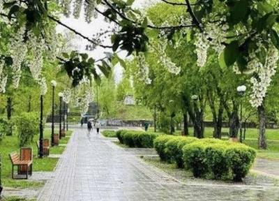 Метро Берестейська парк Орлчтко