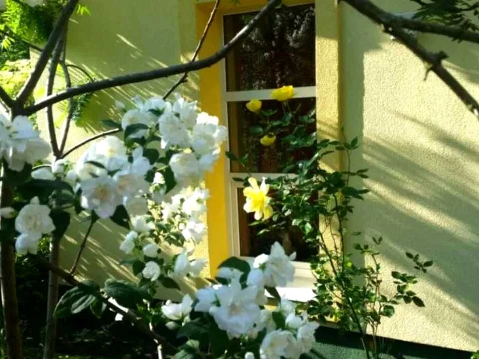 Будинок. Львів, Шполянська вул.
