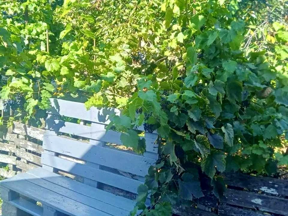 Будинок. Дніпро, Ізюмська вул.