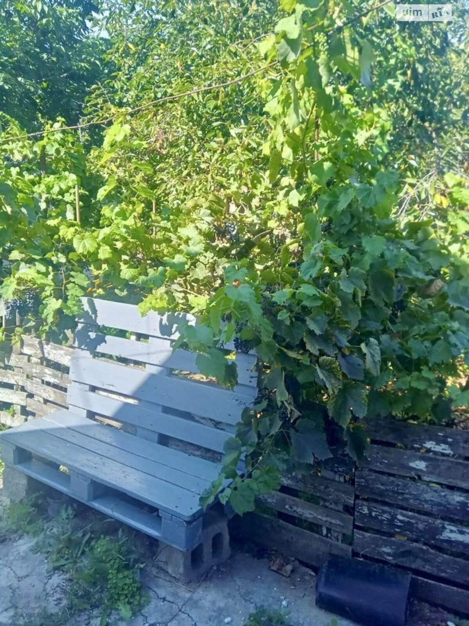 Продаж Дім