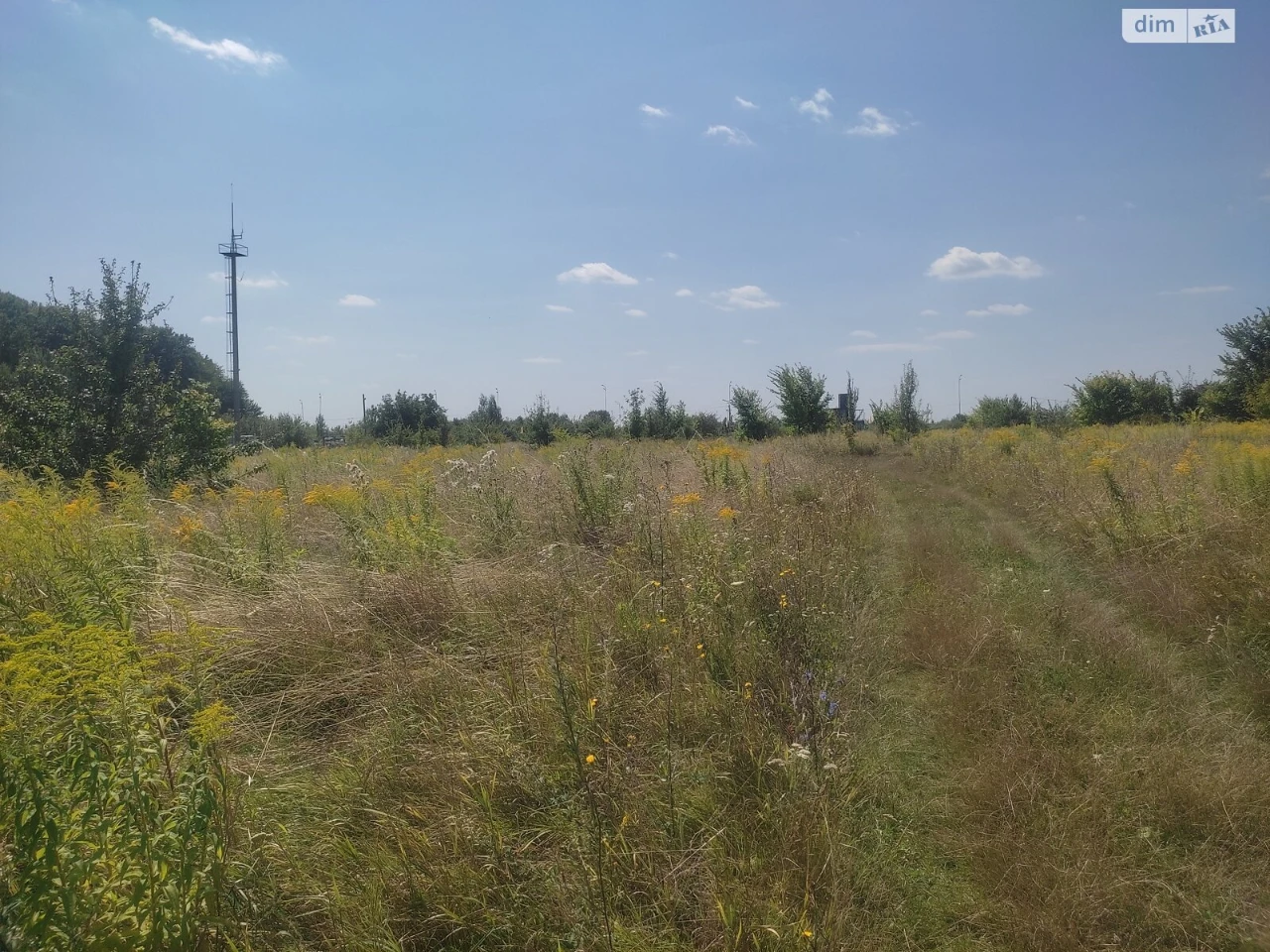 Продаж Земля сільськогосподарського призначення Старе місто
