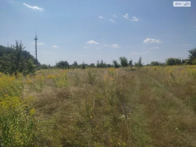 Продаж Земля сільськогосподарського призначення Старе місто
