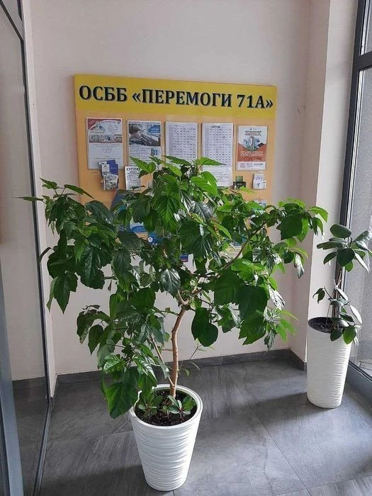 Оренда однокімнатної квартири ЖК Наш Будинок, метро Нивки