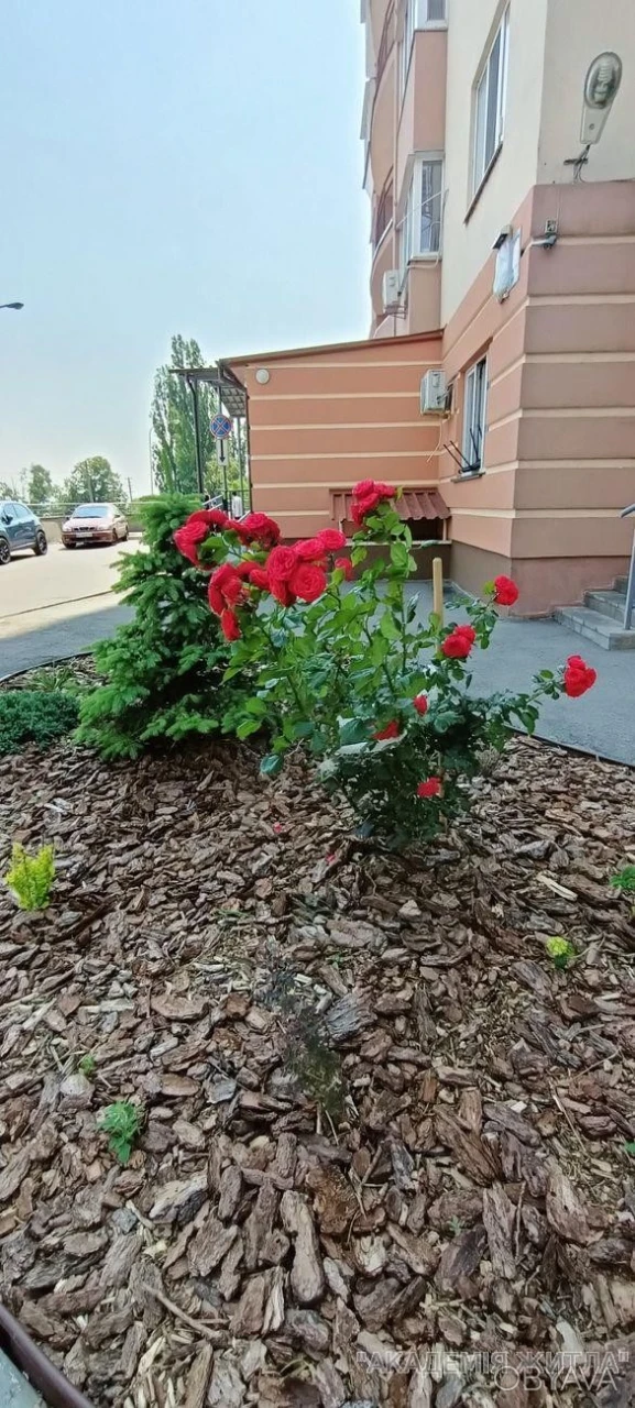 2-комнатная квартира, 65 м.кв.