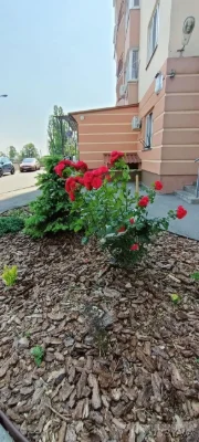 2-комнатная квартира, 65 м.кв.