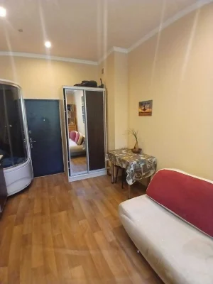 Selling a one-room studio apartment, 20 sq m, gas | Aleksandrovsky Ave., metro station X