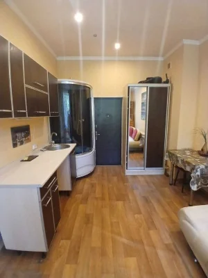 Selling a one-room studio apartment, 20 sq m, gas | Aleksandrovsky Ave., metro station X