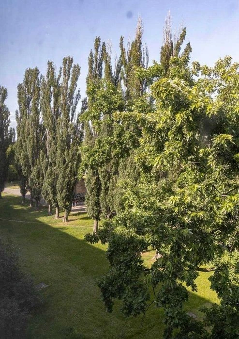 Без % Оренда 1к Чорних Запорожців довгостроково Воскресенка